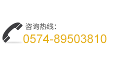 PPAP,IMDS,CAMDS